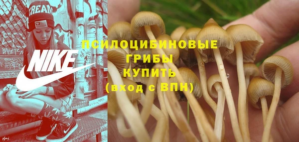 метадон Алексин