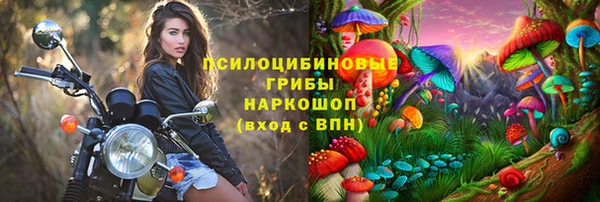 крисы Алзамай